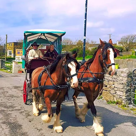 فندق مبيت وإفطار Seacrest Kilronan (Inishmore)