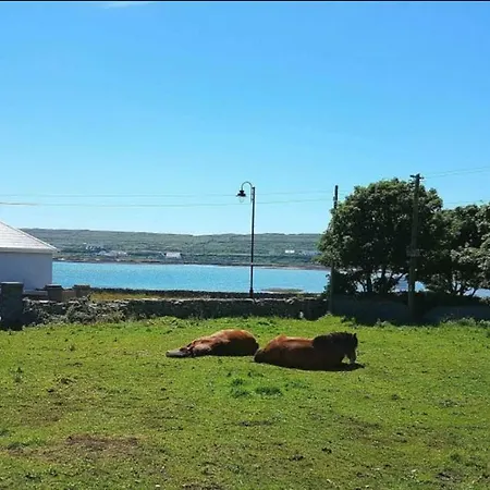 住宿加早餐酒店 Seacrest 3*