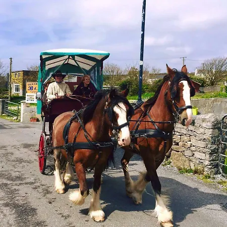 Seacrest Bed & Breakfast Kilronan (Inishmore)