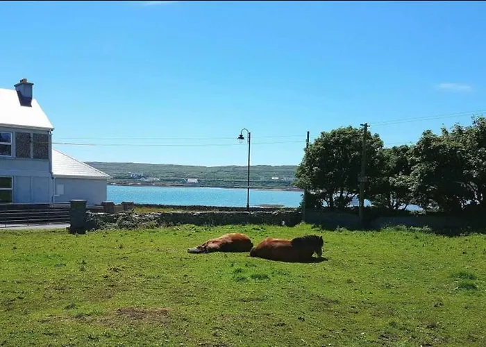 ベッド・アンド・ブレックファスト Seacrest 3*