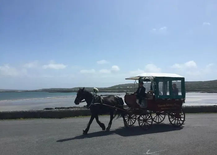 Seacrest ベッド・アンド・ブレックファスト 3*